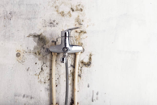 Best Water Damage Restoration  in Burney, CA