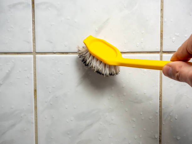 Best Home Mold Removal  in Burney, CA