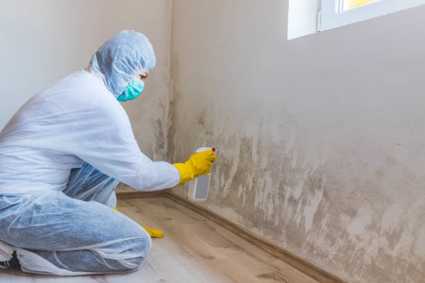Best Crawl Space Mold Removal  in Burney, CA