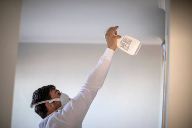 Best Mold Remediation  in Burney, CA