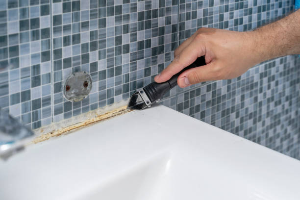 Best Mold Removal Near Me  in Burney, CA
