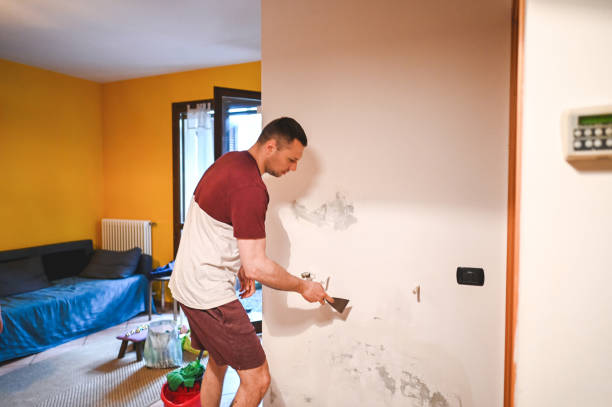 Best Mold Testing  in Burney, CA