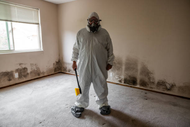 Best Affordable Mold Removal  in Burney, CA